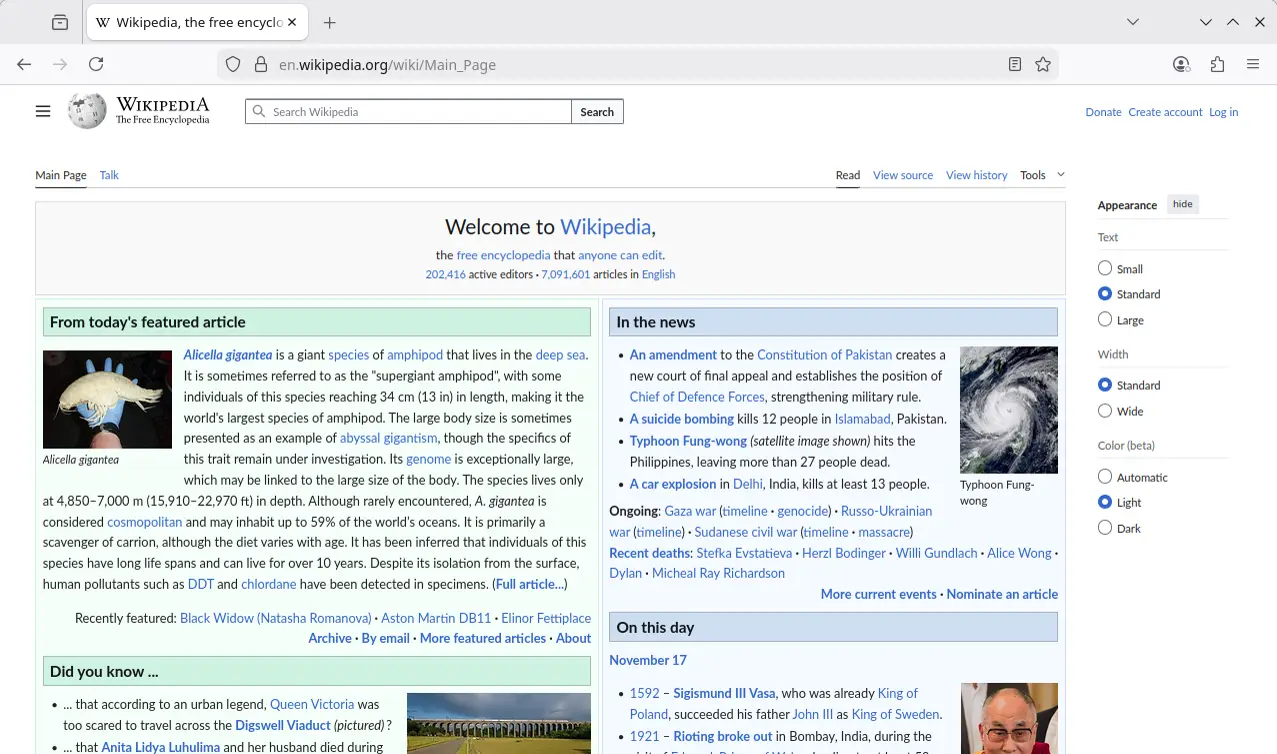 Firefox window on Linux